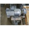 Image 4 : bench grinder on stand