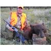Image 3 : Colorado - 1 Hunter for 5-Day Rocky Mountain Elk, Mule Deer and Black Bear Hunt