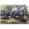 Image 1 : Canada -  2 Hunters for 5-Day Black Bear Hunt