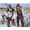 Image 2 : Missouri - 2 Hunters for 1-Day Snow Goose Hunt