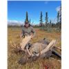 Image 1 : Alaska, USA  - 1 Hunter for Alaska Moose Hunt