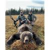 Image 1 : Alaska, USA - 1 Hunter for Alaska Grizzly Bear Hunt