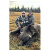 Image 2 : Alaska, USA - 1 Hunter for Alaska Grizzly Bear Hunt