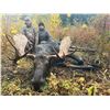 Image 2 : DRIFTWOOD VALLEY: 9-Day Moose, Mtn. Goat or Elk Hunt for One Hunter in Canada - Includes Trophy Fee