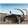 Image 2 : 4ACES: 10-Day Cape Buffalo (40"+), Sable (50"+) & Roan (30"+) Hunt for One Hunter in South Africa