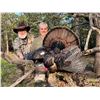 Image 2 : CHOCTAW LODGE: 3-Day Choctaw McNab for One Hunter/One NH in OK - Includes Trophy Fees, Rifle & More!