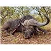 Image 1 : ZAMBEZE DELTA: 10-Day Buffalo & Plains Game Safari for One Hunter/One NH in MOZ - Includes Trophies