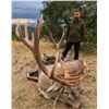 Image 2 : WILD-HUNTING: 5-Day Anatolian Red Stag Hunt for One Hunter/One NH in Turkey - Includes Trophy Fee