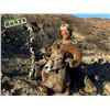 Image 2 : MEXICO HUNTS: 8-Day Weemsi Desert Bighorn Hunt for One Hunter/One NH in Mexico - Includes Trophy Fee