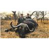 Image 2 : KILOMBERO: 14-Day Leopard & Cape Buffalo Hunt for One Hunter with Rick Warren in Tanzania