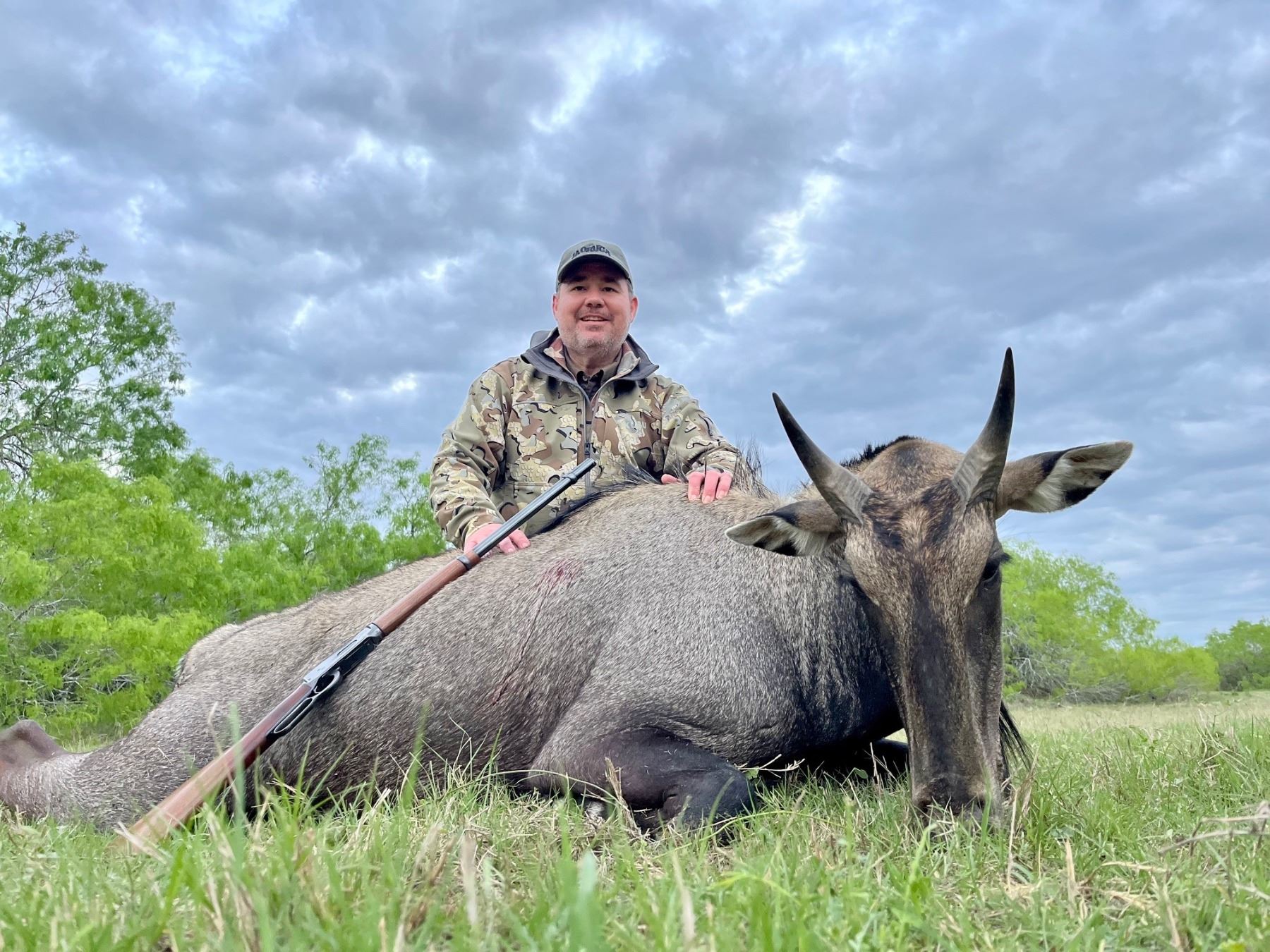 HOLT CATERPILLAR: 3-Day Nilgai Hunt for Two Hunters/Two NHs at the King ...