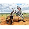 Image 2 : DZOMBO: 7-Day Plains Game Safari for One Hunter in Namibia - Includes Trophy Fees