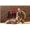 Image 2 : EL DURANGUENO: 5-Day Coues Deer Hunt for One Hunter w/Larry Weishuhn at the El Durangueno Ranch