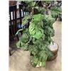 Image 2 : TWO ARTIFICIAL PLANTS