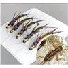 Image 1 : NEW 5PCS REALISTIC STONEFLY LARVAE FLY BAITS  SLOW SINKING, MULTI-COLOR FLIES WITH LIFELIKE DESIGN