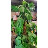 Image 2 : ARTIFICIAL TREE