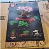 Image 2 : LEGO BOTANICAL COLLECTION BONSAI TREE #10281