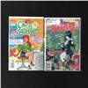 Image 1 : LOT OF 2 COMICS VARIOUS TITLES