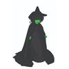 Image 1 : A Wicked Witch of the West Doll by Madame Alexander.