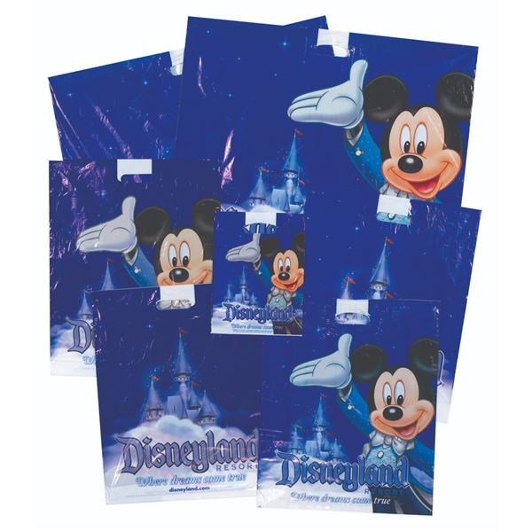 A Disneyland Where Dreams Come True Bag Collection.