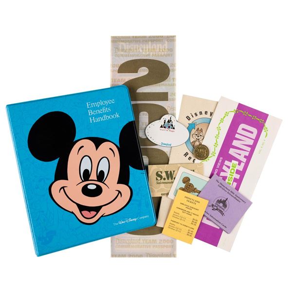 A Disney Employee Collection Spanning 33 Years.