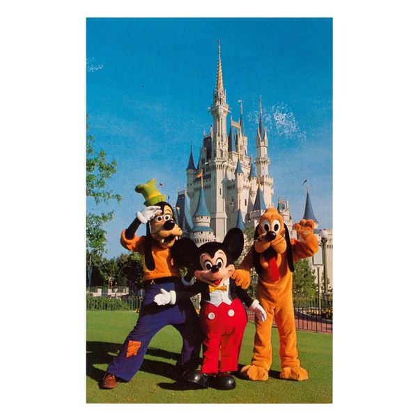 A Walt Disney World Souvenir Postcard.