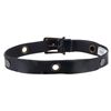 Image 2 : A WDW Pirates of the Caribbean Cast Member Belt.