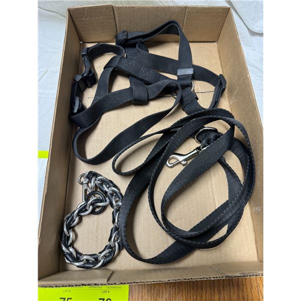 Leash collar and harness