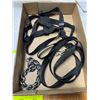 Image 1 : Leash collar and harness
