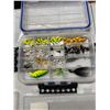 Image 2 : Fishing lures