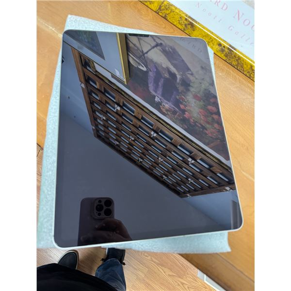 Apple iPad working needs unlocking