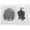 Image 2 : SNAPPING TURTLE, TURTLE SHELL 2023 2OZ PURE SILVER