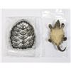 Image 3 : SNAPPING TURTLE, TURTLE SHELL 2023 2OZ PURE SILVER