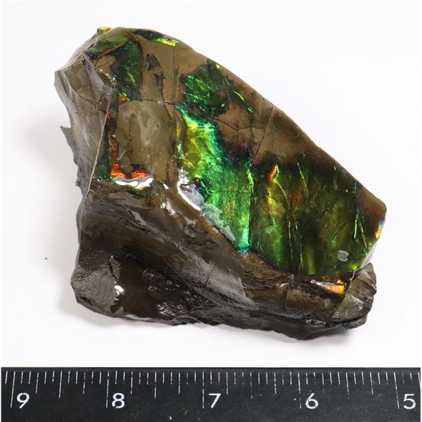AMMOLITE ART PIECE