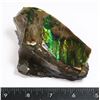 Image 1 : AMMOLITE ART PIECE