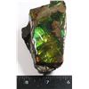 Image 2 : AMMOLITE ART PIECE