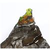 Image 4 : AMMOLITE ART PIECE
