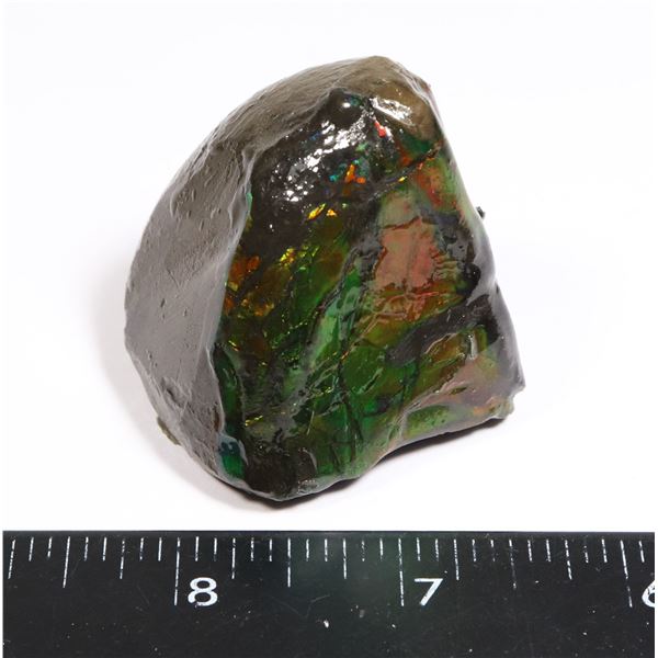 AMMOLITE ART PIECE
