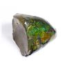 Image 2 : AMMOLITE ART PIECE