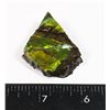 Image 1 : AMMOLITE ART PIECE