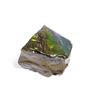 Image 2 : AMMOLITE ART PIECE