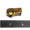 Image 1 : AMMOLITE ART PIECE