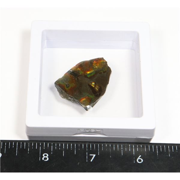 AMMOLITE GEMSTONE IN FLOATING DISPLAY CASE