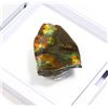Image 2 : AMMOLITE GEMSTONE IN FLOATING DISPLAY CASE