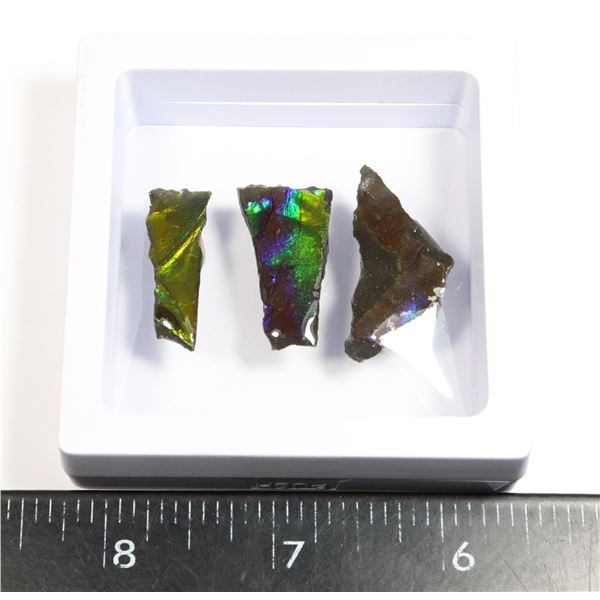 AMMOLITE GEMSTONE IN FLOATING DISPLAY CASE