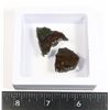 Image 1 : AMMOLITE GEMSTONE IN FLOATING DISPLAY CASE
