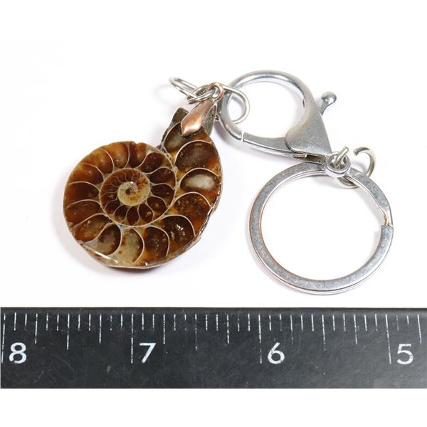 ONE AMMONITE KEY CHAIN