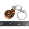 Image 1 : ONE AMMONITE KEY CHAIN
