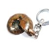 Image 2 : ONE AMMONITE KEY CHAIN