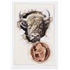 Image 1 : 1-OZ BUFFALO COPPER ROUND IN CAPSULE WITH CARD